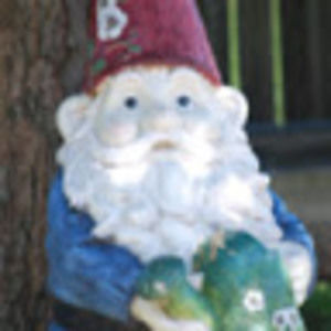 Meet your Posher, Amiee